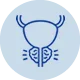 Icone prostata.2.0.fw
